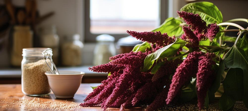 Amaranth